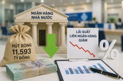 NHNN hút ròng gần 11.600 tỷ đồng, loạt ngân hàng bắt đầu giảm lãi suất