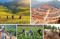 Lào Cai: Phấn đấu đến năm 2030 giảm nghèo đa chiều, bảo đảm an sinh xã hội, nâng cao đời sống Nhân dân