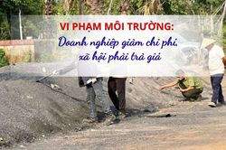 Vi phạm môi trường: Doanh nghiệp giảm chi phí, xã hội phải trả giá