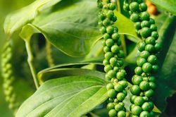 Luật chơi nông sản đổi từng ngày, hàng Việt đứng trước loạt yêu cầu mới