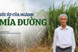Sức ép của ngành mía đường