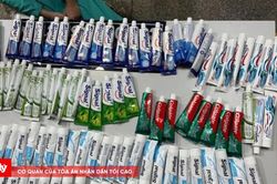 Hôm nay, xét xử 227 bị cáo trong chuyên án ma túy VN10