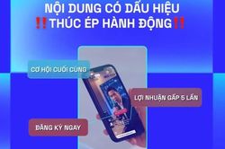 Quy trình 5D tránh bẫy thông tin