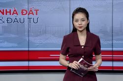 Bản tin Nhà đất và đầu tư | 17/08/2026