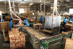 Chấp thuận đầu tư Nhà máy chế biến lâm sản Hà Linh hơn 54,5 tỷ đồng