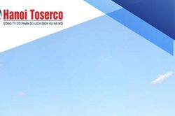 Du lịch Dịch vụ (TSJ): Chi hơn 91 tỷ đồng trả cổ tức, dòng tiền tập trung vào hai cổ đông lớn