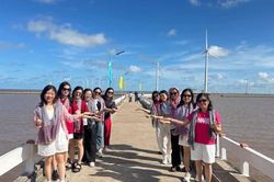 Cánh đồng quạt gió - dấu ấn xanh giữa biển trời Bạc Liêu