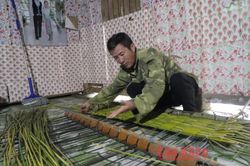 Gìn giữ nghề đan chiếu cói ở Phan Thanh