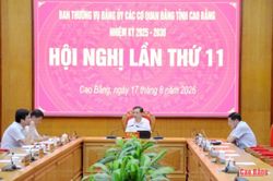 Hội nghị lần thứ 11 Ban Thường vụ Đảng ủy các cơ quan Đảng tỉnh