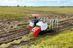 Từ giảm phát thải đến gia tăng giá trị nông sản