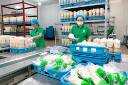 Sản xuất nông nghiệp cả nước: Giải phóng các nguồn lực để đạt mục tiêu tăng trưởng