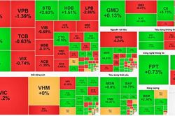 Chứng khoán 17-8: CII, MSR ngược dòng, chuyên gia cảnh báo khả năng kiểm định mốc 1.700 điểm
