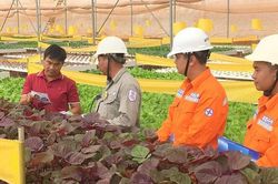 Lịch cúp điện TP. Cần Thơ từ ngày 17 - 23/8/2026: Nhiều khu vực sẽ bị cúp điện từ 7h đến 17h