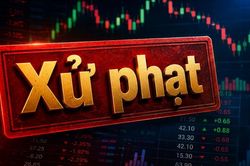 Công ty Cổ phần Minh Hữu Liên vi phạm chứng khoán