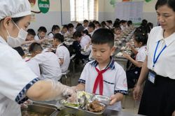 Hơn 600 đơn vị đăng ký cung ứng bữa ăn học đường tại Hà Nội
