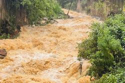 Mưa lớn từ đêm nay, Chính phủ yêu cầu bảo đảm an toàn cho người dân