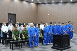 Vụ cựu Thứ trưởng nhận hối lộ: L&yacute; giải việc lập hai hệ thống sổ s&aacute;ch kế to&aacute;n