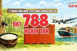 Xuất khẩu cao su 7 th&aacute;ng đầu năm 2026: Gần 1,55 tỉ USD, Trung Quốc dẫn đầu