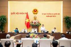 Ủy ban Thường vụ Quốc hội cho &yacute; kiến về dự &aacute;n Bộ luật H&igrave;nh sự (sửa đổi)