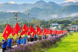 Rực đỏ tuyến đường hoa Mường Thanh chào đón Quốc khánh 2.9