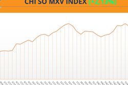 THỊ TRƯỜNG HÀNG HÓA: Sắc xanh bao phủ, MXV-Index tăng 60 điểm