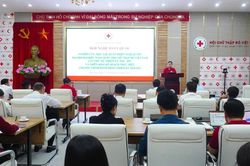Hội Chữ thập đỏ Việt Nam triển khai nghi&ecirc;n cứu, qu&aacute;n triệt Nghị quyết Đại hội XII