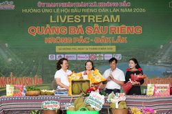 Đắk Lắk: Hoạt động livestream có hơn 5.570 đơn hàng chốt mua hơn 27,8 tấn sầu riêng