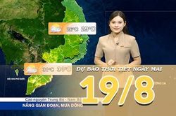 [Video] Dự báo thời tiết đêm nay và ngày mai ngày 19/8/2026: Áp thấp nhiệt đới trên Biển Đông, Bắc Bộ và Bắc Trung Bộ mưa lớn diện rộng