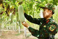 Bộ đội Trường bắn TB2 tăng gia giỏi