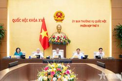 Ủy ban Thường vụ Quốc hội cho &yacute; kiến về dự &aacute;n Luật Tổ chức cơ quan điều tra h&igrave;nh sự (sửa đổi)
