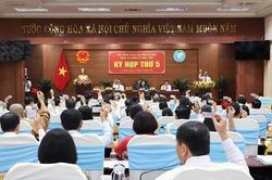 C&agrave; Mau: Cấp miễn ph&iacute; s&aacute;ch gi&aacute;o khoa cho học sinh tiểu học từ năm học 2026 - 2027