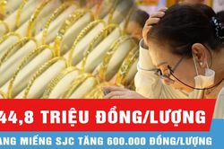 Sáng 18-8, giá vàng trong nước và thế giới trái chiều