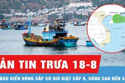 Bản tin trưa 18-8: Dự báo Biển Đông sắp có gió giật cấp 8, sóng cao đến 3,5m