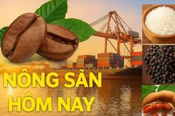 Giá nông sản hôm nay 18/8/2026: Giá cà phê khó bứt phá, xuất khẩu từ Brazil sắp tăng tốc; Giá dầu trở lại mốc 90 USD, Mỹ và Iran siết chặt lập trường
