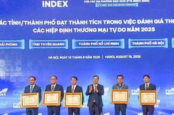 Hải Phòng thuộc nhóm 5 địa phương dẫn đầu về thực thi FTA