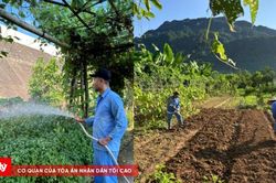 Trao cơ hội việc làm cho người lầm lỗi