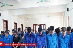 Đường dây giả mạo sàn Lazada chiếm đoạt 71 tỷ đồng