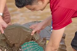 Không đặt mua động vật để phục vụ nhu cầu phóng sinh trong mùa Vu Lan
