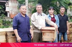 Mô hình sinh kế mở lối thoát nghèo ở Sơn Kim 1