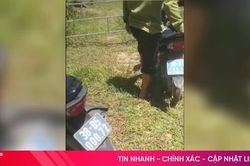 Hai xe công vụ của lực lượng bảo vệ rừng bị phá hỏng