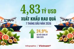 Xuất khẩu rau quả đạt 4,83 tỷ USD, nhiều thị trường tiếp tục được mở cửa
