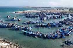 Gỡ 'thẻ vàng' IUU, phát triển nghề cá bền vững: Cần thực thi quyết liệt từ cơ sở