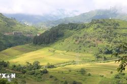 Đánh thức mùa vàng Lào Cai bằng chuỗi trải nghiệm văn hóa và thể thao độc đáo