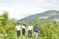 Nông trại Phạm Văn Đồng - địa chỉ đỏ phát triển du lịch xanh tại Quảng Ngãi