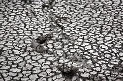 Malaysia đối mặt nguy cơ El Nino cường độ mạnh gây khô hạn và khói bụi