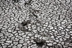 Malaysia đối mặt nguy cơ El Nino cường độ mạnh gây khô hạn và khói bụi