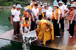 Thực hành phóng sinh đúng Chính pháp, bảo vệ môi trường mùa Vu Lan