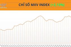Sắc xanh bao phủ thị trường hàng hóa, MXV-Index tăng 60 điểm