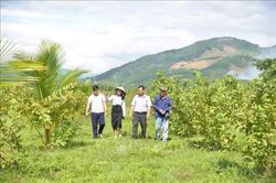 Nông trại Phạm Văn Đồng - 'địa chỉ đỏ' mở hướng phát triển du lịch xanh
