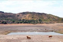 Bộ Nông nghiệp và Môi trường yêu cầu chủ động ứng phó El Nino 2026-2027